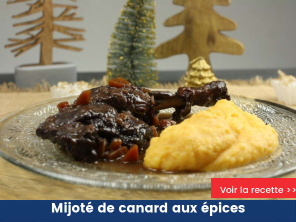 Mijoté de canard aux épices